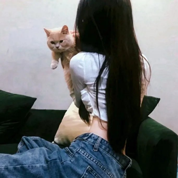 少年锦衣卫第二季